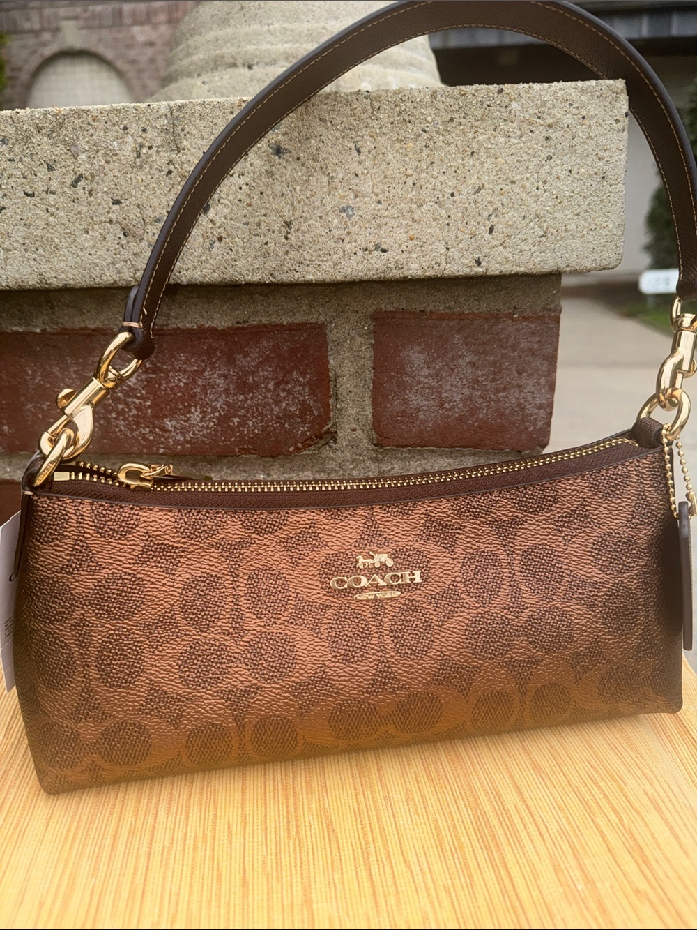 Coach Metallic Brown Signature Shoulder Bag with Gold Hardware (Pouchette)